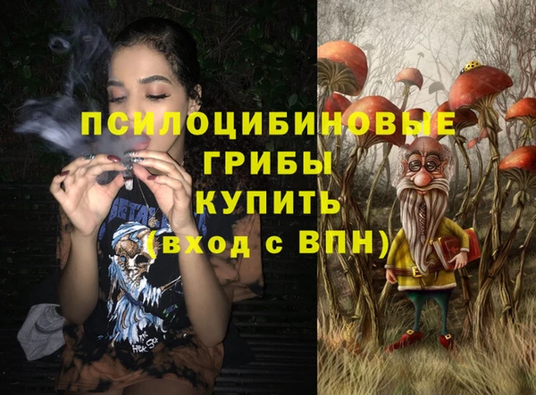 прущие крисы Киренск