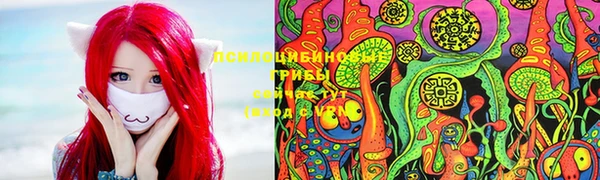 дурь Киреевск