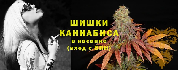 прущие крисы Киренск