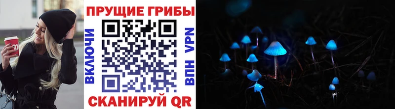 Купить где Крымск Псилоцибиновые грибы Psilocybine cubensis